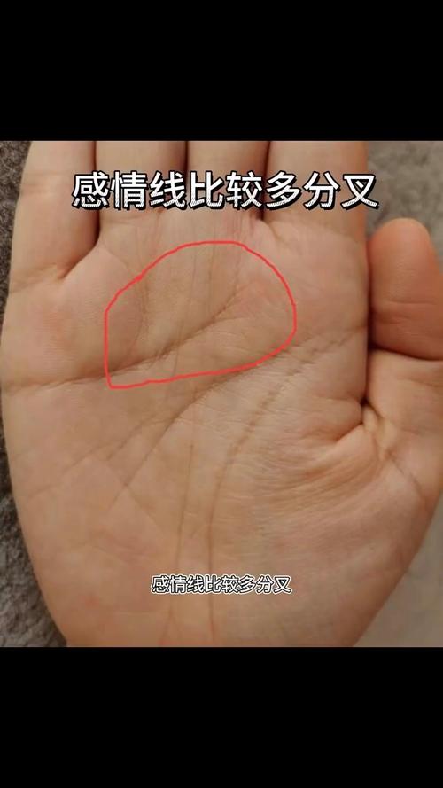 不安分的女人手相