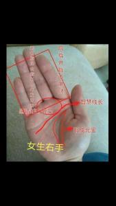 無名指長度看你財運