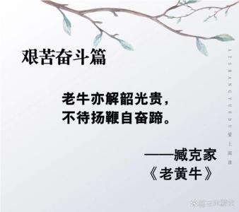 為什么說牛年不好 人生勞累艱苦
