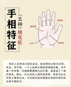 有爛桃花的手相分析