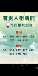 手機號碼里的三大吉祥數字組合 手機號預測