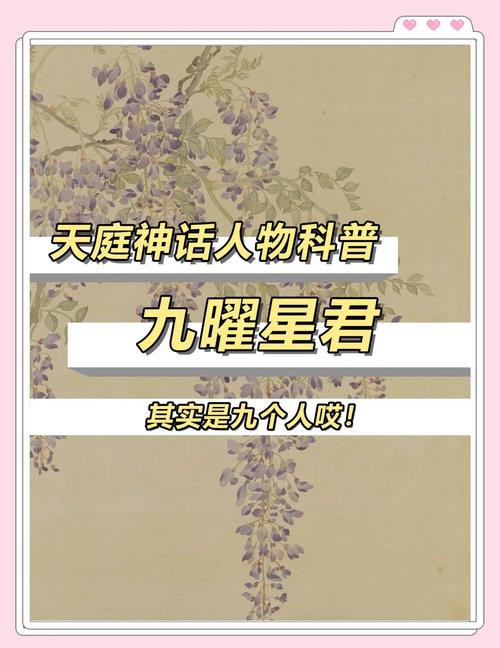命坐天權星的人