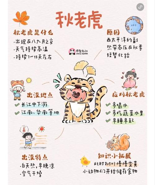 2022年立秋出生的虎寶寶寓意 今年立秋生的秋老虎寓意