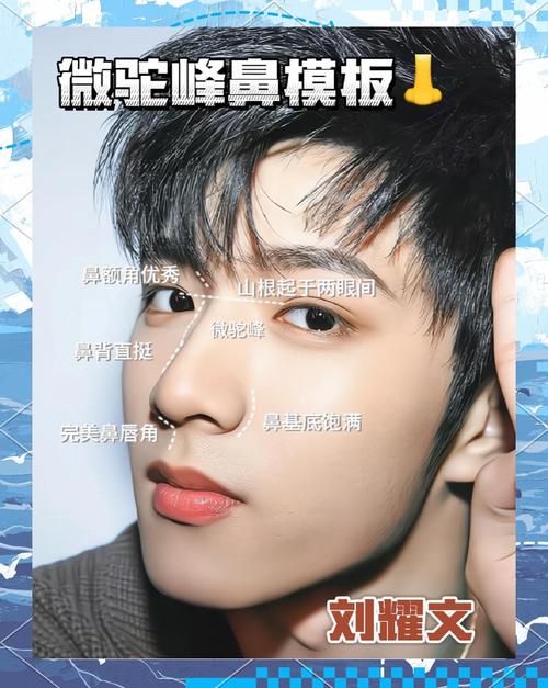 鼻梁高的男人面相好嗎？做事認真，凡事思慮深遠