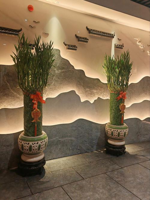 火鍋店擺放什么植物招財(cái)  瓷器助力生意興隆