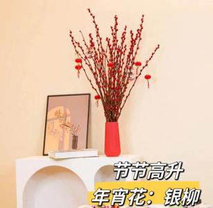 招財的干花擺設 招財干花有哪些