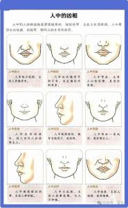 面相知識 什么面相的人好相處