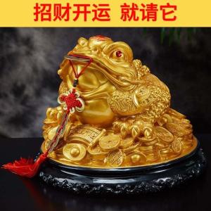 石榴木命佩戴什么旺財 三角金蟾旺財運