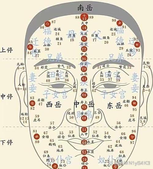 面相圖解：眉毛稀疏的男人面相說法