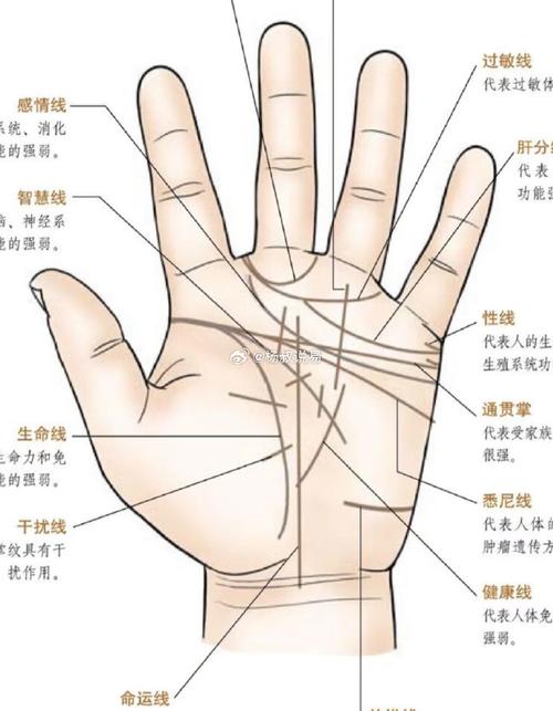女人手相圖解大全詳解 四大線路說明運勢特征