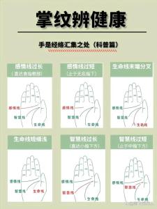 感情線長短代表什么意思  過短一意孤行