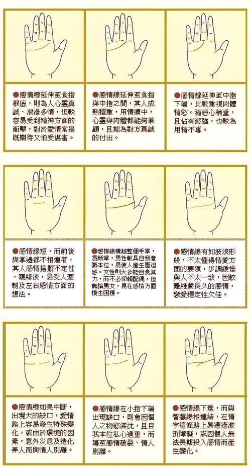 手紋上的各種細紋透露了什么命理信息?(一)