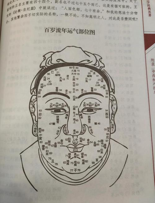 面相學什么樣的男人值得托付終身