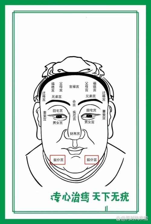 面相奴仆宮是什么意思