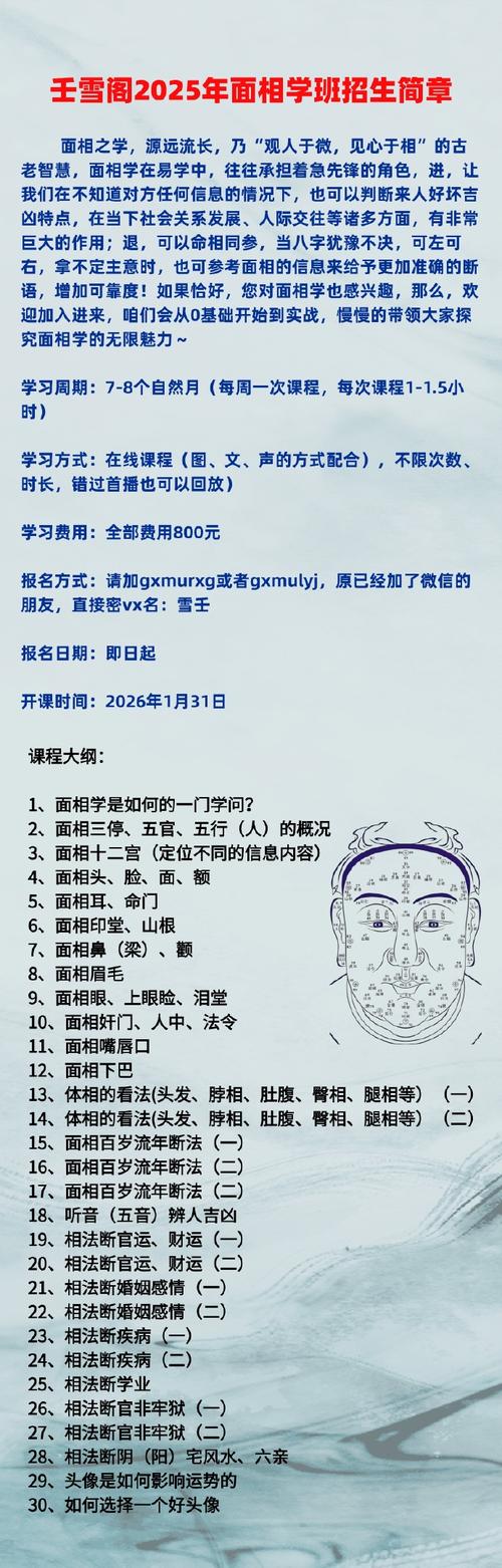 特別適合按部就班工作的面相