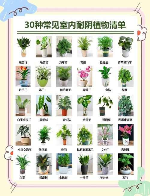 十種好養(yǎng)對人有益的植物 凈化空氣最好的植物排名
