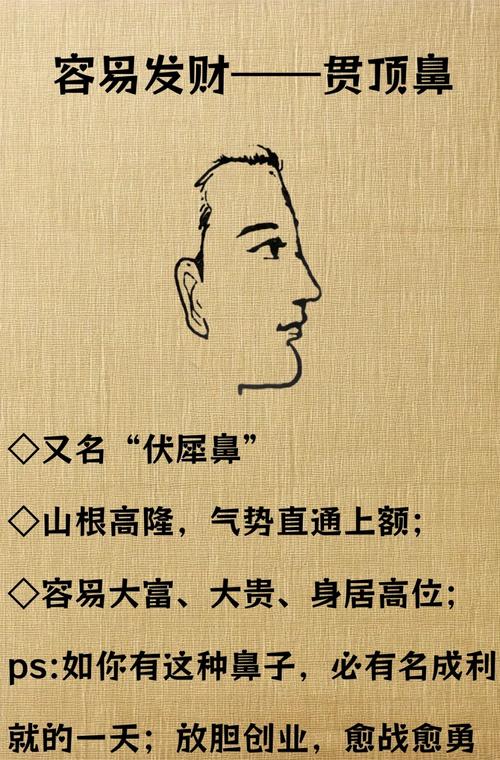 小富看鼻大富看眼啥意思 有錢人的面相