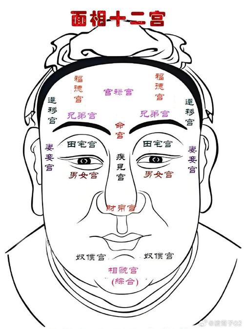 最不能去招惹的面相 一起來認識下