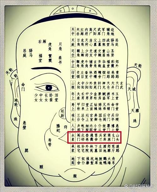 看面相小知識：論命宮的重要性