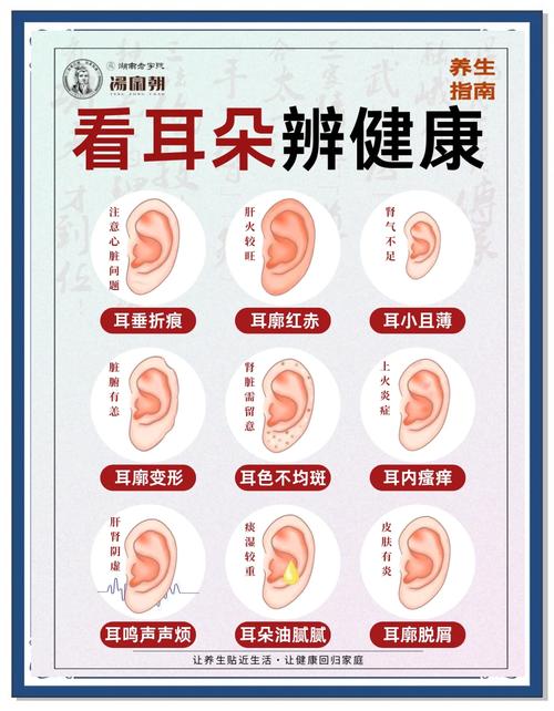 五官之一：女人耳朵小代表什么意思