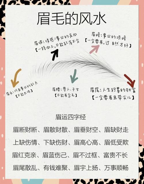 如何看一個人財運(yùn)是好是壞 看眉毛