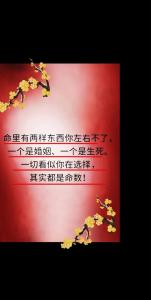 婚姻天注定半點不由人 萬般皆是命一切有定數
