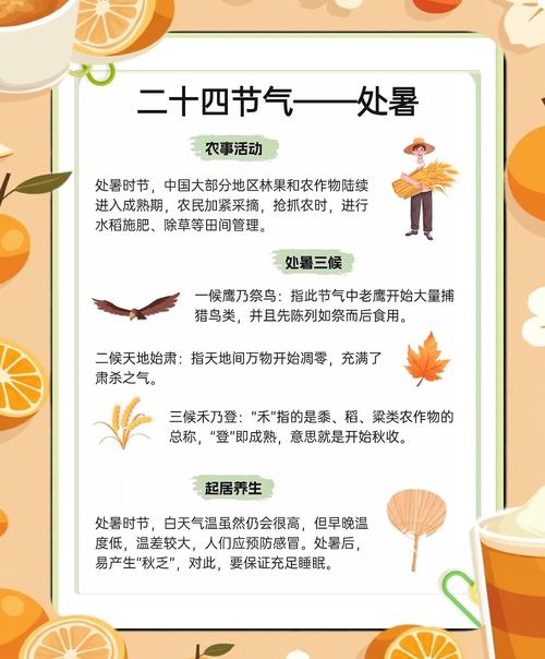 處暑節氣是夏天還是秋天 處暑屬于秋天的節氣