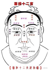 哪四大骨相的命運好 日月骨聚財高手