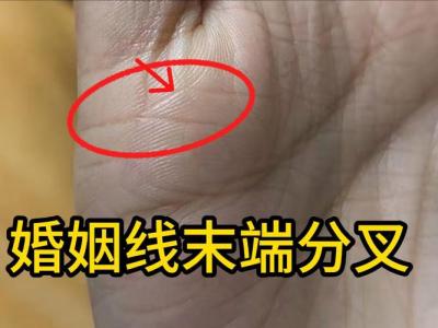 婚姻線末端分叉代表晚年婚姻不順嗎