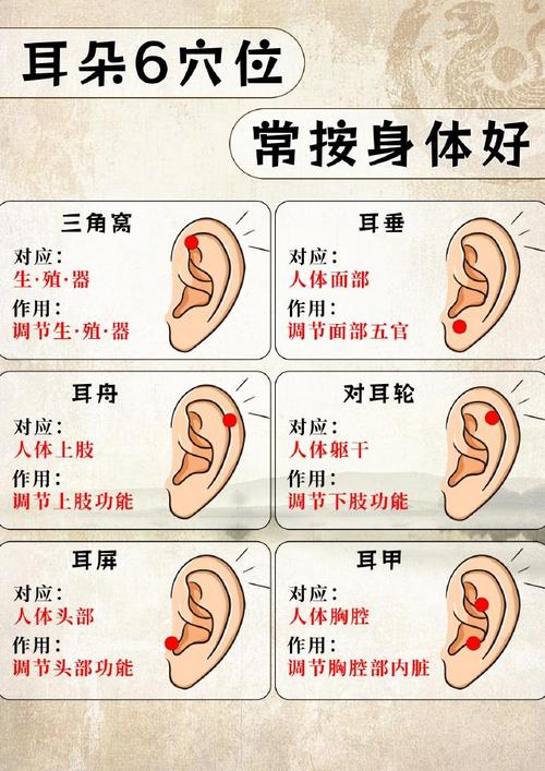 相術(shù)知識(shí) 耳朵福相怎么看