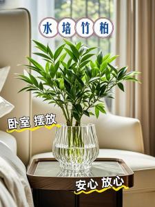 臥室中擺設(shè)花卉的風(fēng)水知識