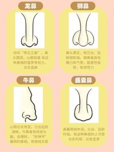男人鼻子小代表什么   小鼻子男人面相全面分析寶典