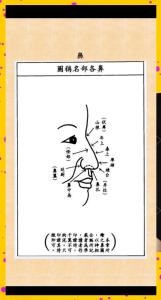 風(fēng)水克夫相解讀：女人鼻頭有痣克夫嗎