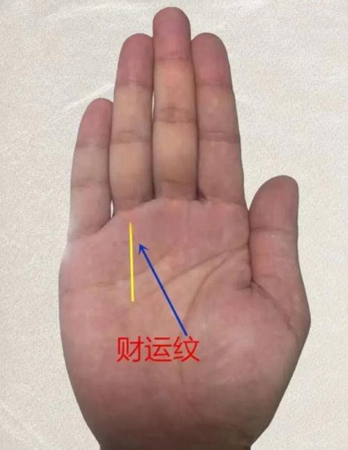 皺紋看你發財機會