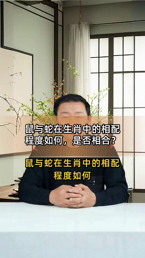 屬鼠的和屬蛇的配嗎