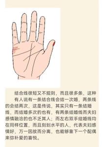 婚姻線的長(zhǎng)短說(shuō)明了什么