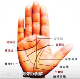 哪條是婚姻線