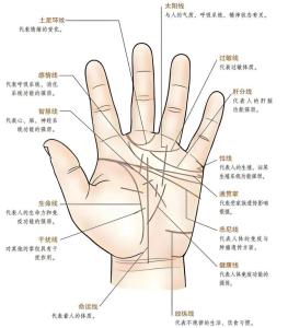 什么樣的手相是長命相