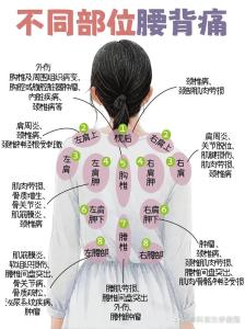 體相：從腰背看命運(yùn)如何
