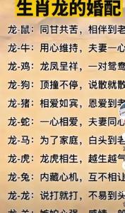 屬鼠的和屬龍的配嗎