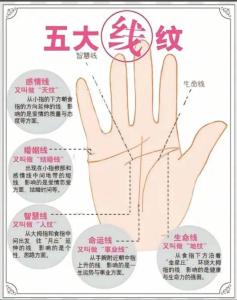 四大手紋之女人大富大貴的手相