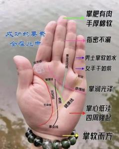 如何看手相財運 怎么通過手相看財運