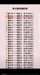 有戀母情結(jié)的生肖男 喜歡大女人的生肖男