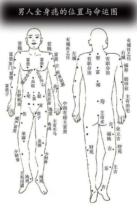 男人后背有痣多“妻賢子孝”是真的嗎？