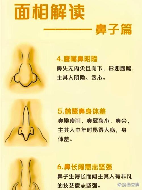 面相鼻子大代表什么？