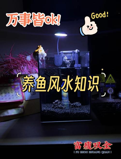 魚缸擺放的幾點注意