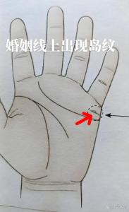 婚姻線上有島紋的女人可以嫁豪門嗎
