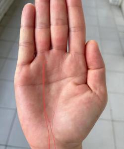 嫁給斷掌的男人好不好,嫁給斷掌的男人好嗎