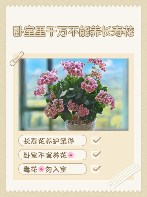 臥室放花的風水知識