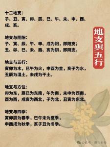 女命傷官旺用什么 五星八字克制傷官